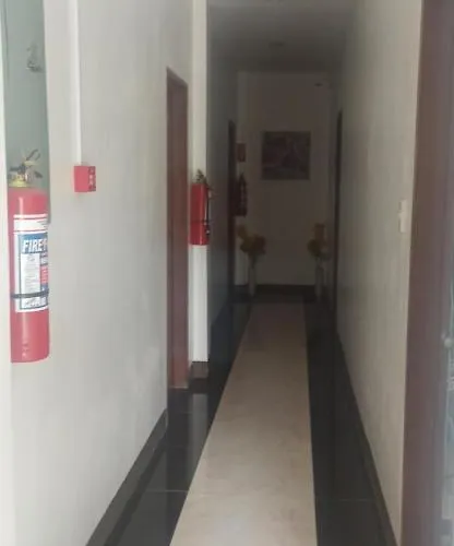 Hostel Junie House