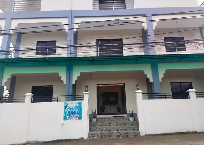 Junie House * Moalboal