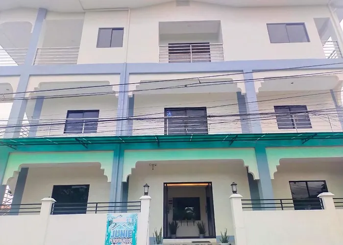 Hostel Junie House *